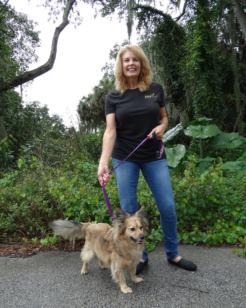 Daily Dog Walking