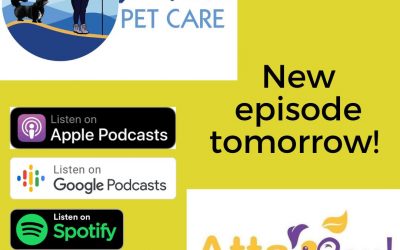 How Do We Hire for Pet Sitting Staff?