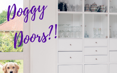 Should My Dog Have Access to an Outdoor Doggy Door in Lakeland, Fl?