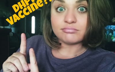 Ask a Vet Tech Series: Distemper Vaccine DHPP Dog