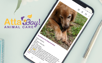 Should My Pet Sitter have GPS tracking + Timed Visits?