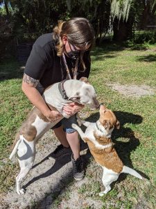 Pet sitter with dogs lakeland