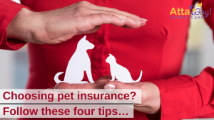 Pet Insurance Atta Boy!