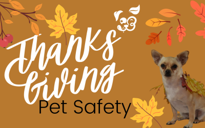Thanksgiving PUP-erations: Be Safe + Thankful