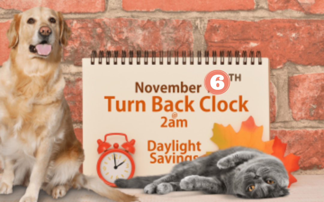Dog-gone Daylight Saving