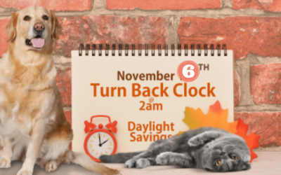Dog-gone Daylight Saving