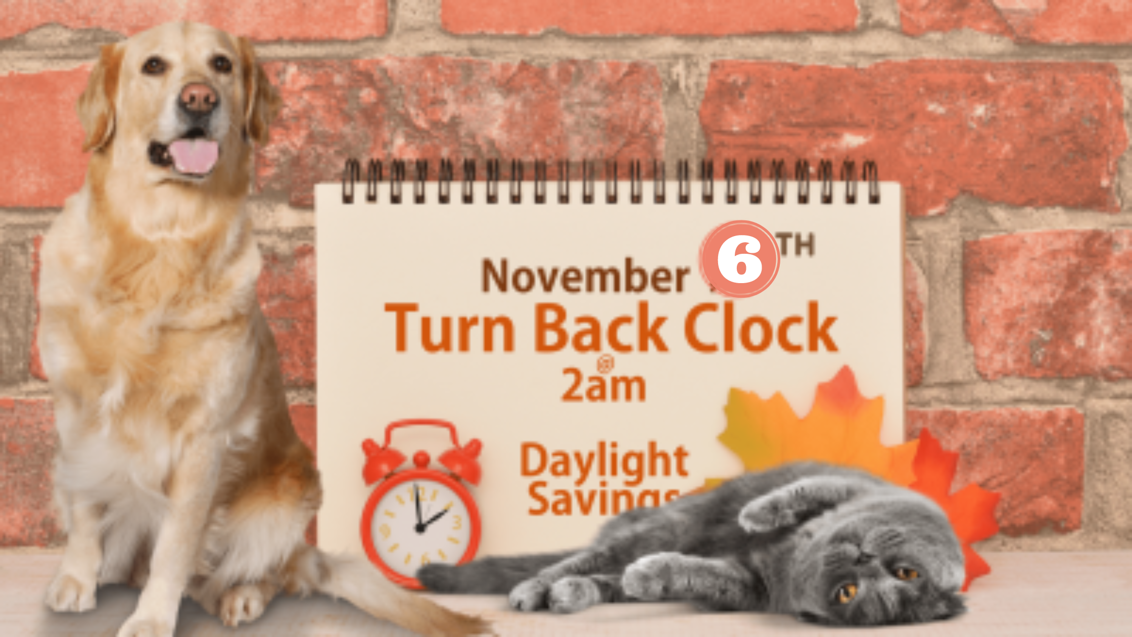 Daylight Savings