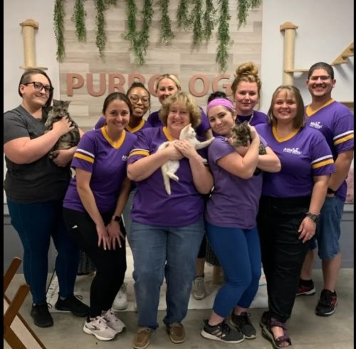 Atta Boy! Animal Care Pet Sitting + Dog Walking Lakeland Staff