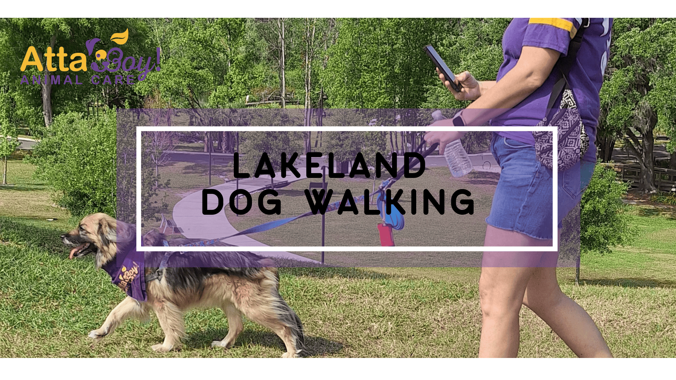 lakeland dog walking