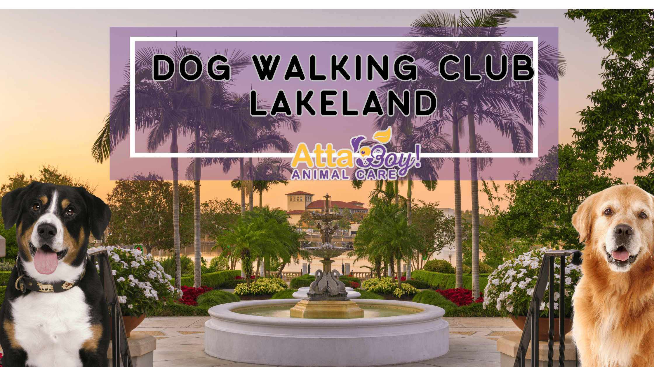 Lakeland Dog Walking Club