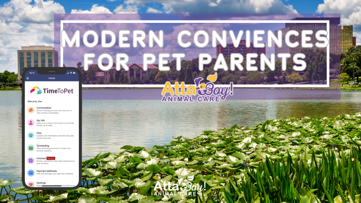 lakeland pet owner
