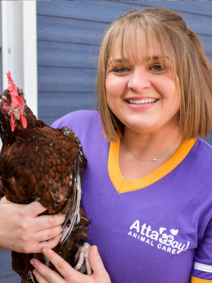 Meet the Owner Amber, Atta Boy
